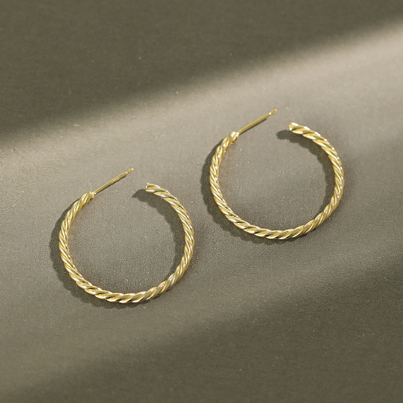 Simple Hoops Earrings 925 Sterling silver Women Jewelry Inventory Unique Trendy Earrings