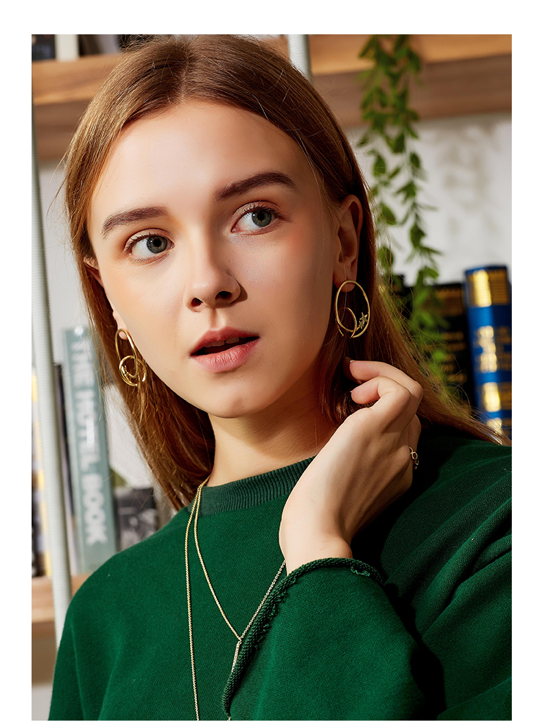 Custom design popular double circle brass star earrings 925 silver needle jewelry(图2)