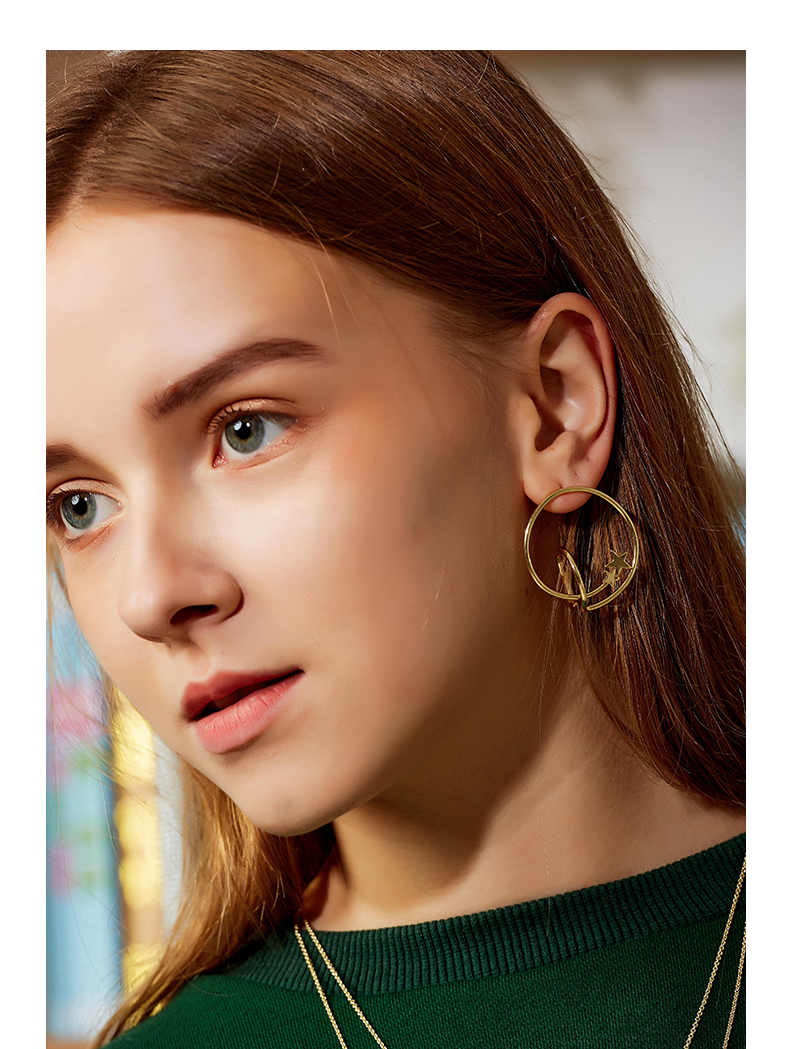 Custom design popular double circle brass star earrings 925 silver needle jewelry(图3)