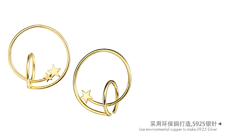 Custom design popular double circle brass star earrings 925 silver needle jewelry(图6)