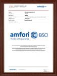 BSCI cetificate@1x (8)